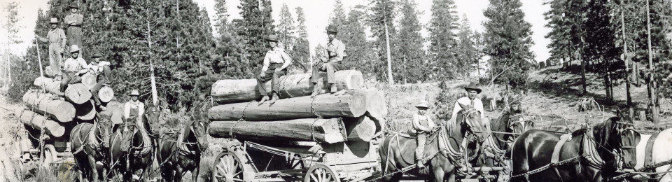 Sierra County Historical Society