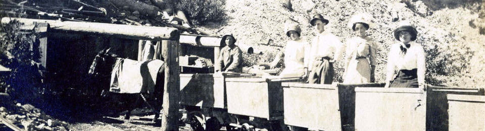 Mule train at the Sierra Buttes Mine