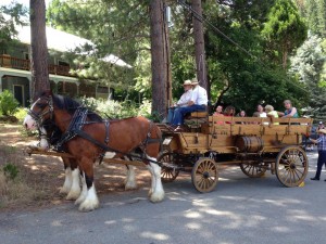 Wagon rides at the Community Picnic